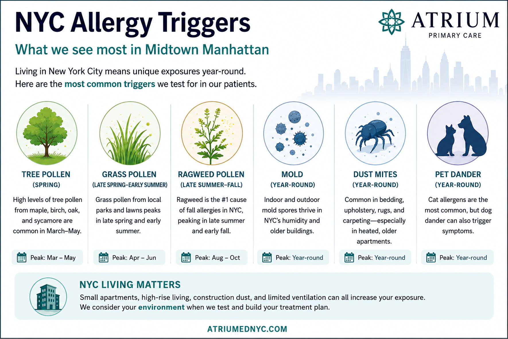 Infographic showing the most common allergy triggers in Midtown Manhattan including tree pollen, grass pollen, ragweed pollen, mold, dust mites, and pet dander, with typical NYC seasonal patterns and apartment-related exposures.